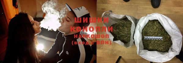 дурь Бронницы