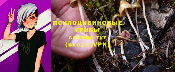 дурь Бронницы