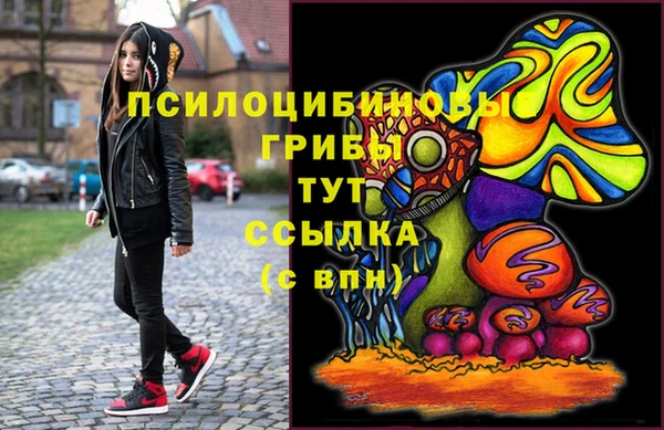 индика Богородск