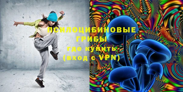 дурь Бронницы