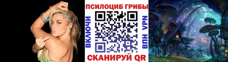 Галлюциногенные грибы ЛСД  Новокузнецк 